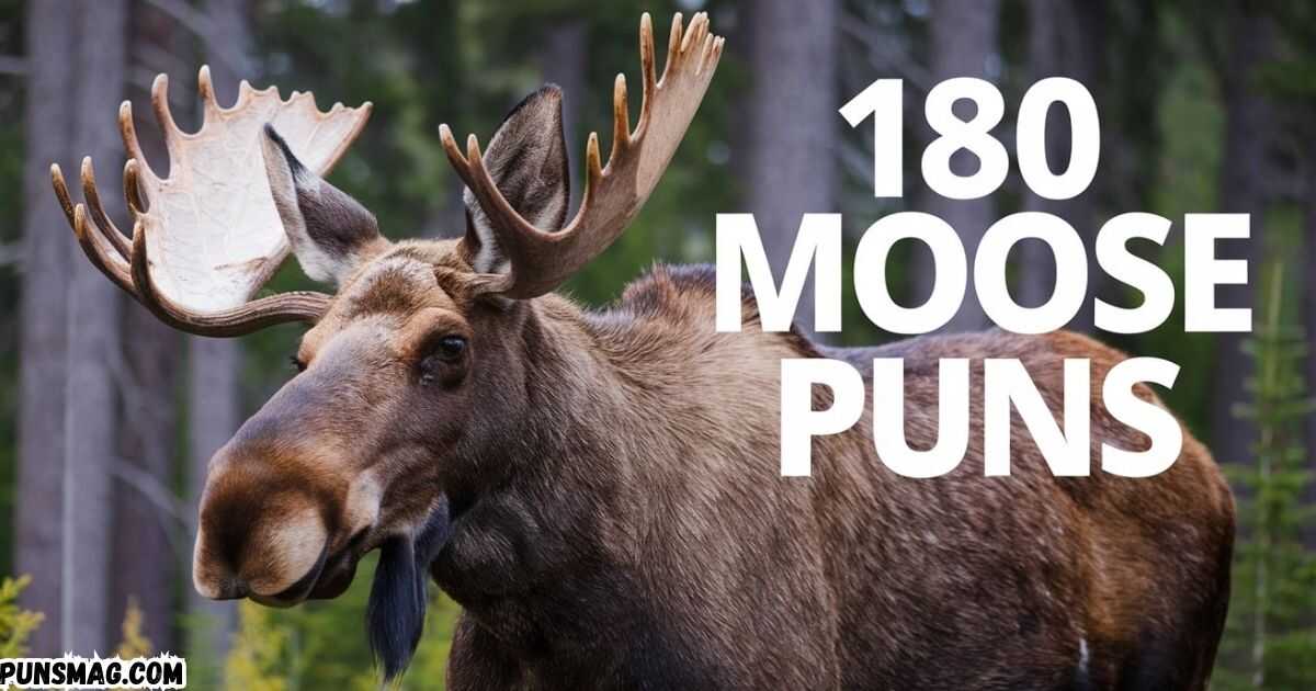 Moose Puns