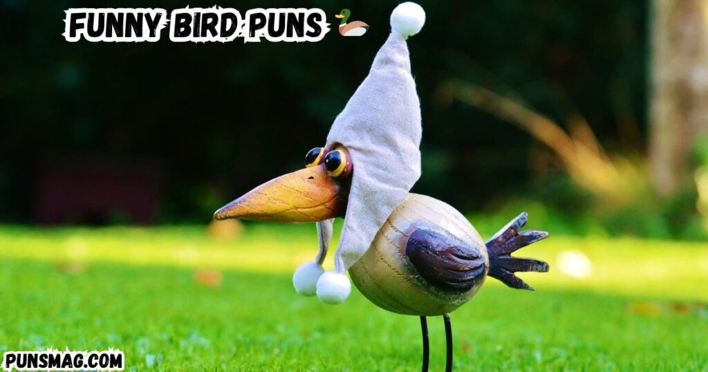 Funny Bird Puns