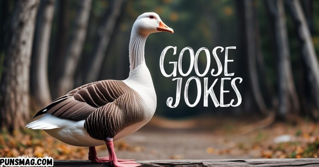 Goose Jokes