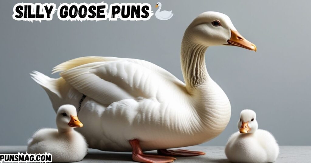 Silly Goose Puns