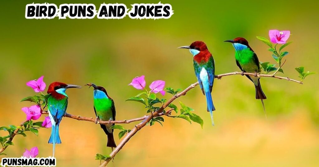 bird puns