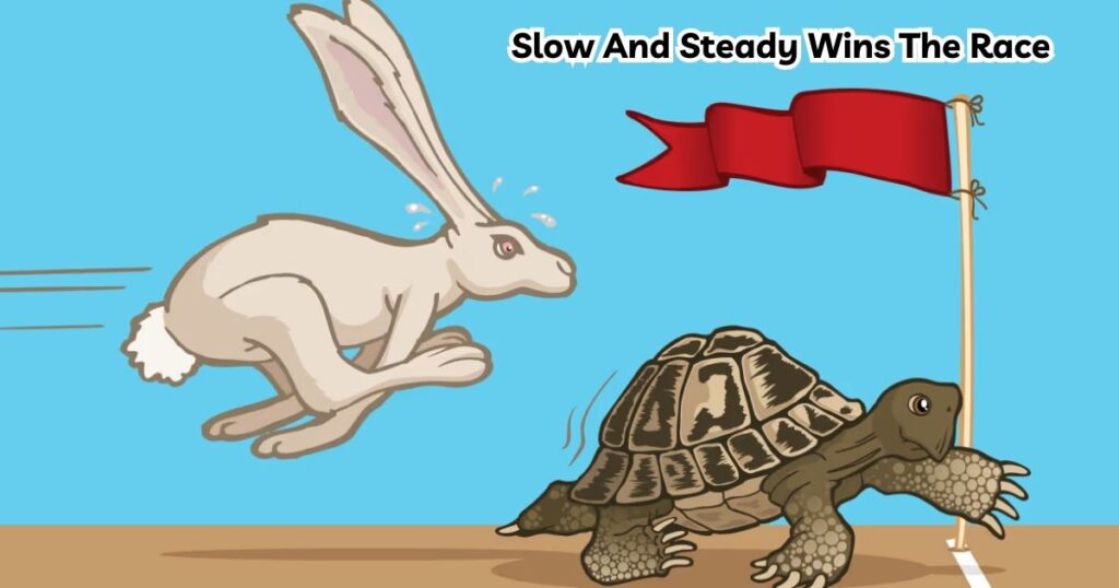 slow and steady wins the race